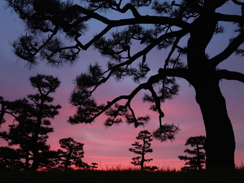 Things That Work While Teaching&nbsp;Online